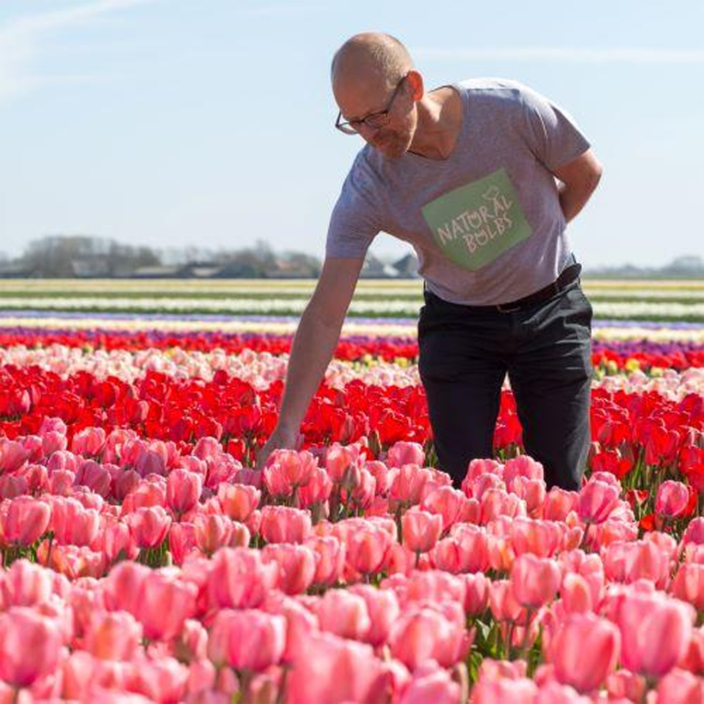 De samenwerking tussen ParkinsonNL en Natural Bulbs