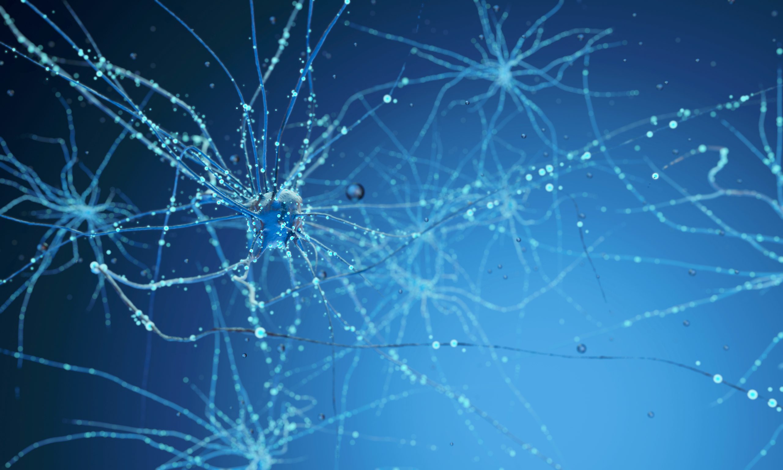 Gefinancierd onderzoek door ParkinsonNederland